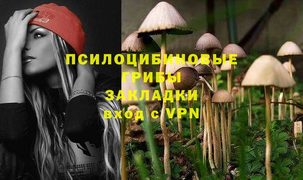 mdpv Киреевск