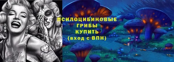 mdpv Киреевск